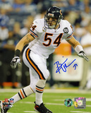 Brian Urlacher Chicago Bears - Action