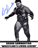 Bruno Sammartino WWWF