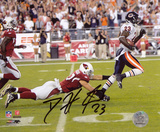 Devin Hester Chicago Bears - Punt Return for TD vs Cardinals