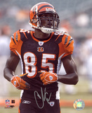 Chad Johnson Cincinnati Bengals