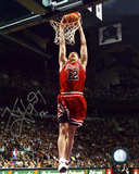 Kirk Hinrich Chicago Bulls Dunk