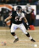 Brian Urlacher Chicago Bears - Windy City -  16x20
