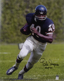Gale Sayers Chicago Bears with HOF '77 Inscription Autographed Photo (Hand Signed Collectable)