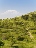 Path Leading to Mount Ararat  Armenia  Caucasus  Central Asia  Asia