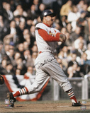 Stan Musial St Louis Cardinals Autographed Photo (Hand Signed Collectable)
