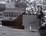 Willie Mays New York Giants -The Catch-