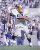 Dick Butkus Illinois Fighting Illini