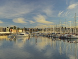 Sandy Bay  Hobart  Tasmania  Australia  Pacific
