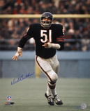 Dick Butkus Chicago Bears Action