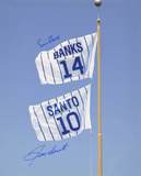 Ernie Banks & Ron Santo Chicago Cubs Retired Number Flag Autographed Photo (H& Signed Collectable)