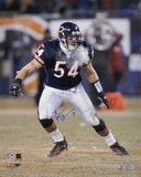Brian Urlacher Chicago Bears  16x20