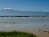 Amboseli National Park and Mount Kilimanjaro  Kenya  East Africa  Africa