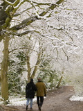 Hampstead Heath in the Snow  London  England  United Kingdom  Europe