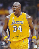 Shaquille O'Neal Los Angeles Lakers  Limited Ed 134