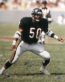 Mike Singletary Chicago Bears with HOF '98 Inscription Autographed Photo (Hand Signed Collectable)