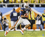 Cam Newton Auburn Tigers Running
