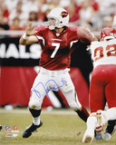 Matt Leinart Arizona Cardinals - Passing