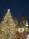 Gothic Tyn Church  Christmas Tree at Twilight in Old Town Square  Stare Mesto  Prague