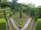 Topiary in Formal Garden  Botanical Garden  Funchal  Madeira  Portugal  Europe