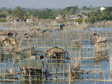 Fish Pens in Channel Through Wetlands at South End of Lingayen Gulf  Philippines