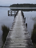 Dock  Shanghai Bay  Lake Mahinapua  West Coast  South Island  New Zealand  Pacific
