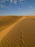 Footsteps in Sand Dunes at Sunset  Near Chinguetti  Mauritania  Africa