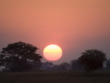 Sunset  Busanga Plains  Kafue National Park  Zambia  Africa