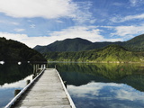 Penzance Bay  Tennyson Inlet  Marlborough Sounds  Marlborough  South Island  New Zealand  Pacific