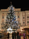 Christmas Tree  Baroque Building and Stalls at Christmas Market  Linz  Austria