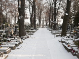 Snow-Covered Cemetery  Village of Treboradice  Prague  Czech Republic  Europe