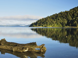 Lake Waikaremoana  Te Urewera National Park  Bay of Plenty  North Island  New Zealand  Pacific