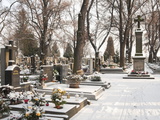 Snow-Covered Cemetery  Village of Treboradice  Prague  Czech Republic  Europe