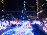 Christmas Tree and Decorations Above Cheonggye Stream at Cheonggye Plaza  Seoul  South Korea