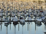 Westhaven  Waitemata Harbour  Auckland  North Island  New Zealand  Pacific