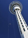 Skycity  Auckland  North Island  New Zealand  Pacific