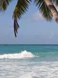 Surfers at Enterprise Point  Barbados  Windward Islands  West Indies  Caribbean  Central America