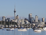 Okahu Bay and Skyline  Auckland  North Island  New Zealand  Pacific
