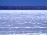 Chott El-Djerid  Tozeur  Tunisia  North Africa  Africa