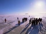 People Walking on Pack Ice  Gulf of Bothnia  Lapland  Sweden  Scandinavia  Europe