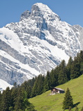 Jungfrau Massif and Swiss Chalet Near Murren  Jungfrau Region  Switzerland  Europe
