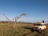 Lualenyi Game Reserve  Kenya  East Africa  Africa
