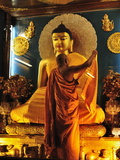 Inside the Mahabodhi Temple  Bodh Gaya (Bodhgaya)  Gaya District  Bihar  India  Asia