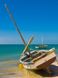Traditional Sailing Boats in the Banc D'Arguin  Mauritania  Africa
