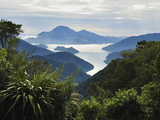 Tennyson Inlet  Marlborough Sounds  Marlborough  South Island  New Zealand  Pacific