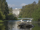 St James's Park Lake From Pelican Rock to Buckingham Palace  London  England