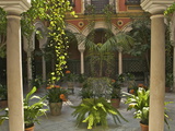 Beautiful Sevillan Patio  Triana District  Sevilla  Andalusia  Spain  Europe
