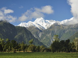 Mount Tasman and Cook Flat  Westland Tai Poutini National Park  New Zealand