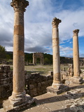 The Roman Ruins of Djemila  Algeria  North Africa  Africa