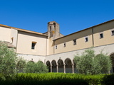 Roman-Etruscan Museum of Tuscania  Tuscania  Viterbo Province  Latium  Italy  Europe