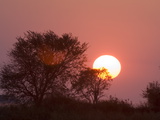 Sunrise  Busanga Plains  Kafue National Park  Zambia  Africa